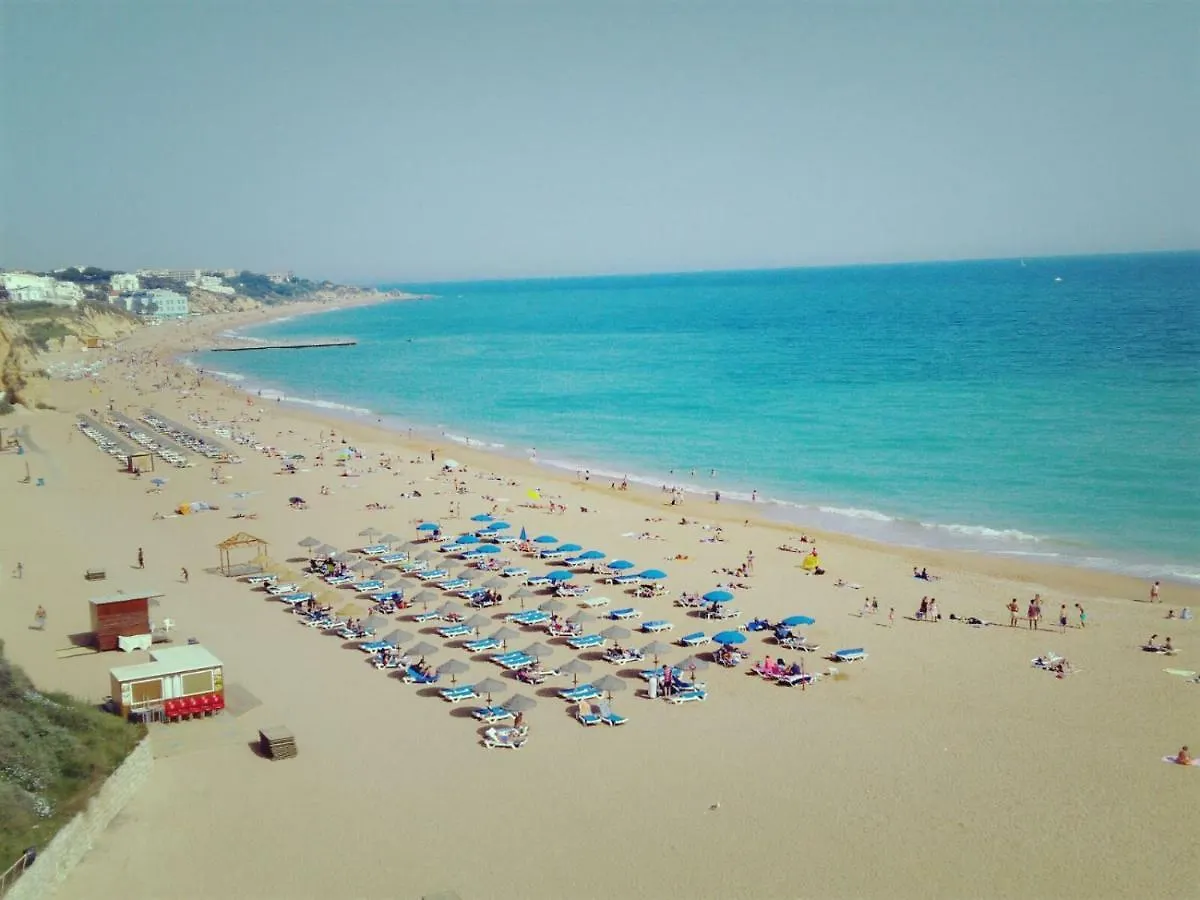 Little Wonder Apartment Albufeira